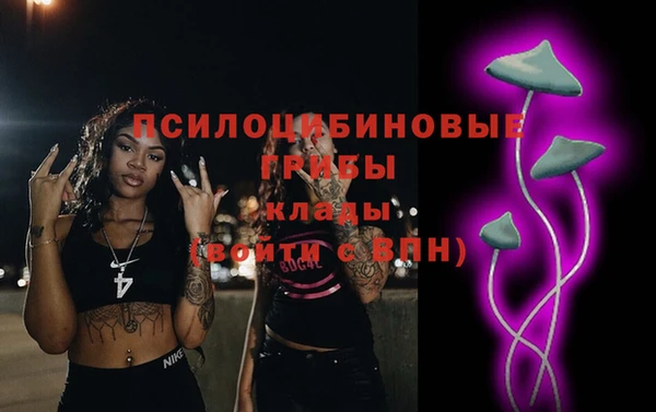 дмт Гусиноозёрск