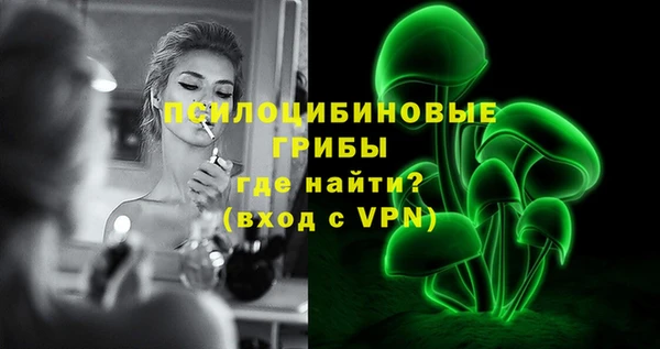 дмт Гусиноозёрск
