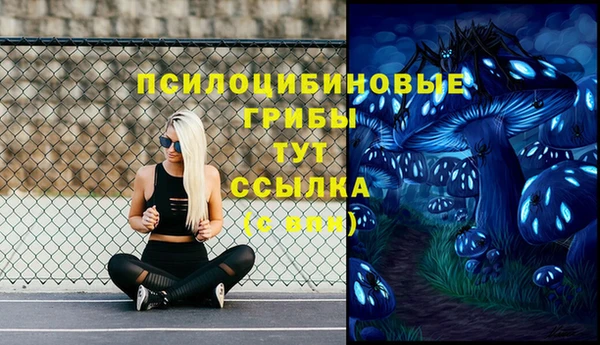 дмт Гусиноозёрск