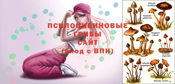 mix Гусев